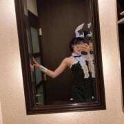 ヒメ日記 2025/02/08 11:46 投稿 サツキ マテリアル