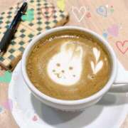 ヒメ日記 2025/06/03 09:16 投稿 サツキ マテリアル