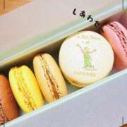 ヒメ日記 2025/11/11 11:16 投稿 サツキ マテリアル