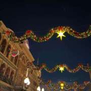 ヒメ日記 2025/12/22 10:16 投稿 サツキ マテリアル