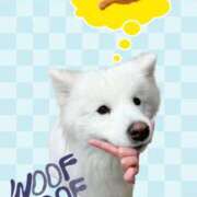 サツキ 明日会えるひとー！? マテリアル