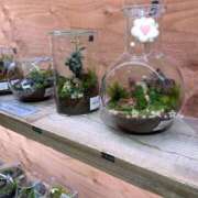 サツキ ハッピーです? マテリアル