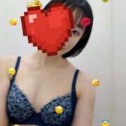 ヒメ日記 2026/04/10 18:31 投稿 サツキ マテリアル