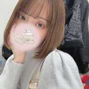 ヒメ日記 2025/02/23 15:46 投稿 イロハ エピソード(品川)