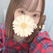 ヒメ日記 2025/03/13 17:46 投稿 イロハ エピソード(品川)