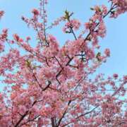 ヒメ日記 2025/03/15 02:01 投稿 イロハ エピソード(品川)