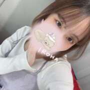 ヒメ日記 2025/04/10 04:46 投稿 イロハ エピソード(品川)