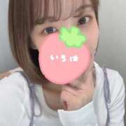 ヒメ日記 2025/04/24 13:16 投稿 イロハ エピソード(品川)