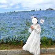 ヒメ日記 2025/04/27 12:16 投稿 イロハ エピソード(品川)