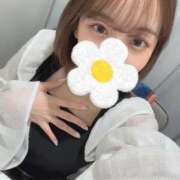 ヒメ日記 2025/05/08 17:46 投稿 イロハ エピソード(品川)