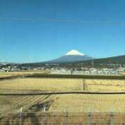 ヒメ日記 2025/12/31 16:16 投稿 イロハ エピソード(品川)