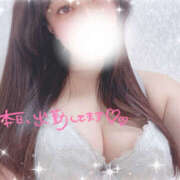 ヒメ日記 2025/01/12 13:06 投稿 のん ギャルズネットワーク神戸