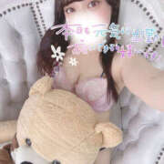 ヒメ日記 2025/05/07 19:16 投稿 のん ギャルズネットワーク神戸