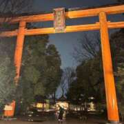 ヒメ日記 2025/03/20 19:11 投稿 まな 君とふわふわプリンセスin川越