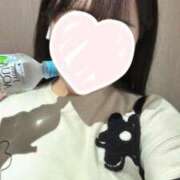 ヒメ日記 2025/03/25 15:54 投稿 まな 君とふわふわプリンセスin川越