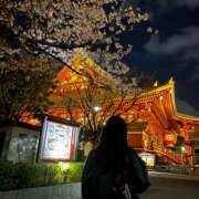 ヒメ日記 2025/04/07 16:58 投稿 まな 君とふわふわプリンセスin川越