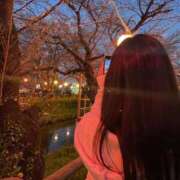 ヒメ日記 2025/04/15 23:56 投稿 まな 君とふわふわプリンセスin川越