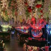 まな やっぱり朝は 君とふわふわプリンセスin川越