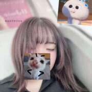 ヒメ日記 2026/04/14 15:55 投稿 まな 君とふわふわプリンセスin川越