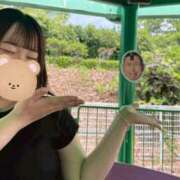 ヒメ日記 2026/06/17 17:50 投稿 まな 君とふわふわプリンセスin川越