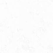 ヒメ日記 2025/01/17 09:20 投稿 ふうか しゃんぜりぜ