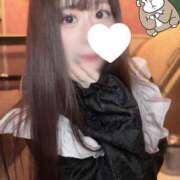 ヒメ日記 2025/05/04 19:46 投稿 ふうか しゃんぜりぜ