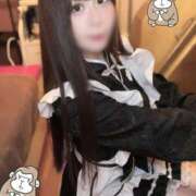 ヒメ日記 2025/08/23 10:47 投稿 ふうか しゃんぜりぜ