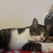 ヒメ日記 2025/12/10 18:47 投稿 永井もも 美魔女エステ