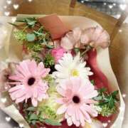 ヒメ日記 2026/04/01 18:40 投稿 永井もも 美魔女エステ