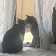 ヒメ日記 2025/10/05 09:39 投稿 永井もも 色気あるワイフ