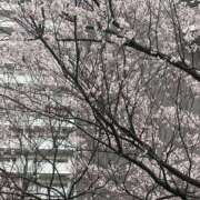 ヒメ日記 2026/03/18 18:15 投稿 永井もも 色気あるワイフ