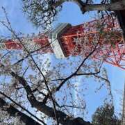 ヒメ日記 2025/04/05 20:14 投稿 永井もも ワイフコレクション