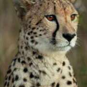 ヒメ日記 2024/12/18 22:26 投稿 かなで 京都の痴女鉄道