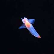 ヒメ日記 2025/01/20 18:26 投稿 かなで 京都の痴女鉄道