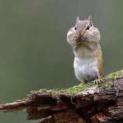 ヒメ日記 2025/01/23 16:46 投稿 かなで 京都の痴女鉄道