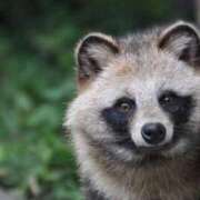 ヒメ日記 2025/01/27 16:26 投稿 かなで 京都の痴女鉄道