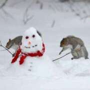ヒメ日記 2025/02/09 18:26 投稿 かなで 京都の痴女鉄道
