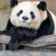 ヒメ日記 2025/02/14 00:16 投稿 かなで 京都の痴女鉄道