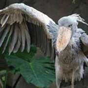 ヒメ日記 2025/02/16 14:26 投稿 かなで 京都の痴女鉄道