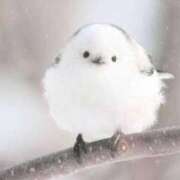 ヒメ日記 2025/02/23 15:16 投稿 かなで 京都の痴女鉄道