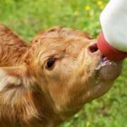 ヒメ日記 2025/02/27 15:28 投稿 かなで 京都の痴女鉄道