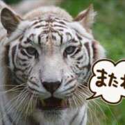 ヒメ日記 2025/02/28 15:46 投稿 かなで 京都の痴女鉄道