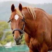 ヒメ日記 2025/03/10 14:26 投稿 かなで 京都の痴女鉄道