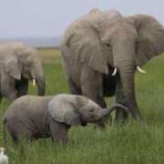 ヒメ日記 2025/03/23 00:29 投稿 かなで 京都の痴女鉄道