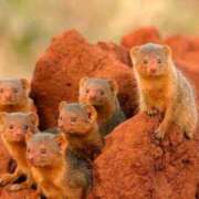 ヒメ日記 2025/03/25 20:26 投稿 かなで 京都の痴女鉄道