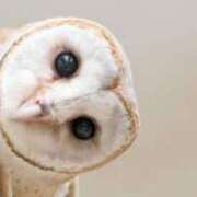 ヒメ日記 2025/03/27 23:26 投稿 かなで 京都の痴女鉄道