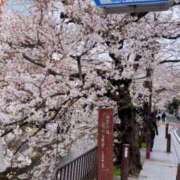 ヒメ日記 2025/04/02 09:16 投稿 かなで 京都の痴女鉄道