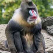 ヒメ日記 2025/04/03 19:26 投稿 かなで 京都の痴女鉄道