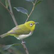 ヒメ日記 2025/04/10 19:26 投稿 かなで 京都の痴女鉄道