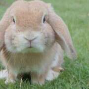 ヒメ日記 2025/04/18 00:26 投稿 かなで 京都の痴女鉄道